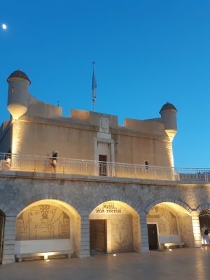 26969_744fe1a0e0769c59f639f6bf202bda10-07_08_2024 14_43_58 26969_744fe1a0e0769c59f639f6bf202bda10-07_08_2024 14_43_58